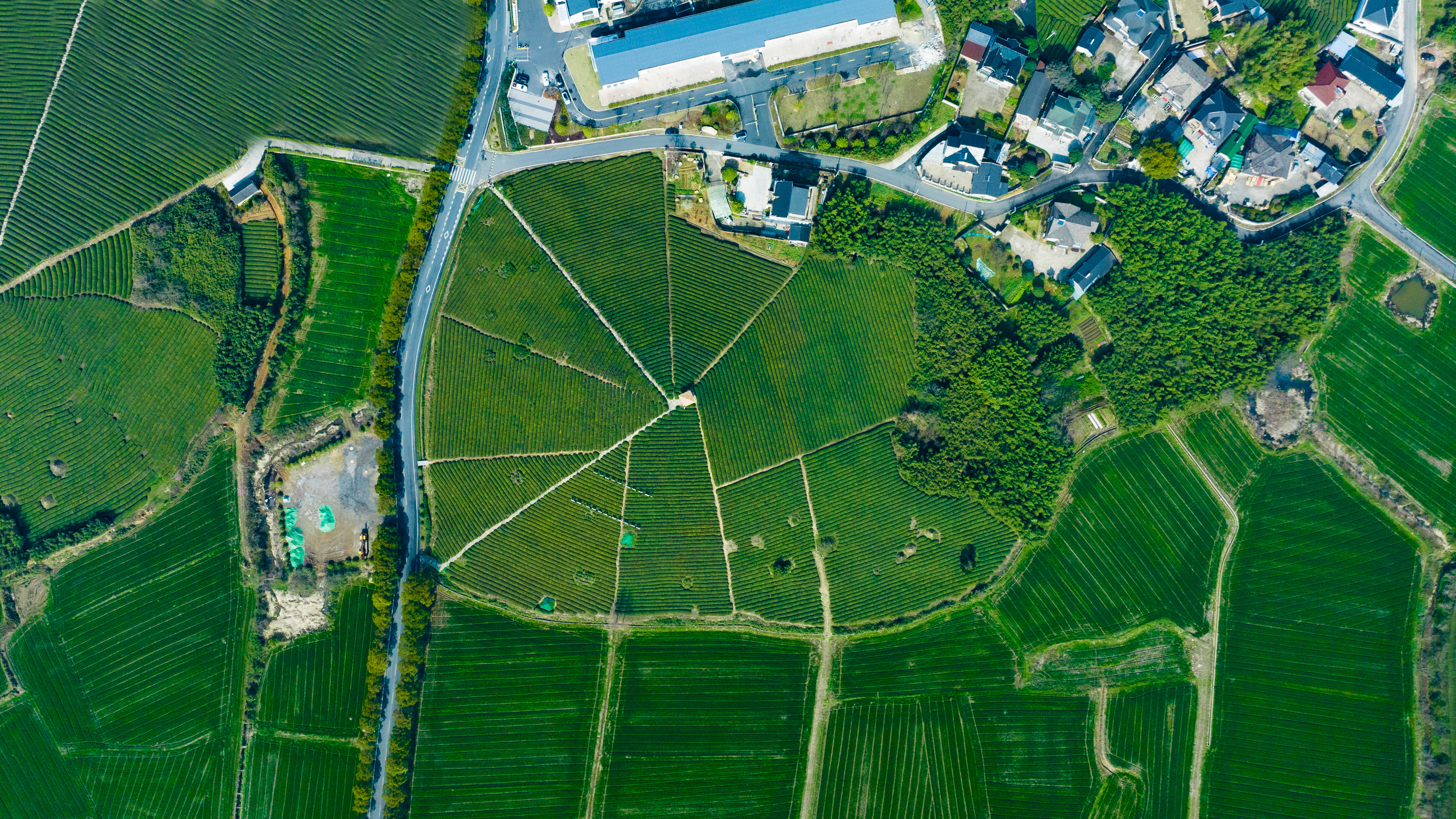 Jingshan tea village aerial